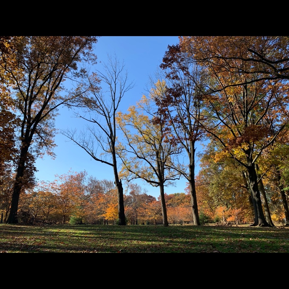 Meet your Posher, Isabelle